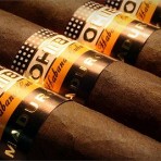 Cohiba Maduro 5 Genios
