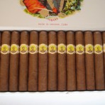 Bolivar Royal Corona