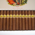 Bolivar Royal Corona
