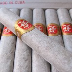 Fonseca Cadets