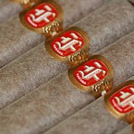 Fonseca Cosacos