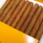 Partagas Clubs