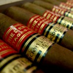 Partagas Serie D Especial 2010