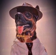Sheriff Dog